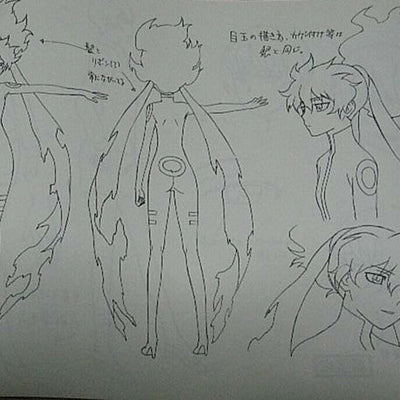 Darker than Black Ryusei no Gemini Setting Art Book Gemini of the Meteor