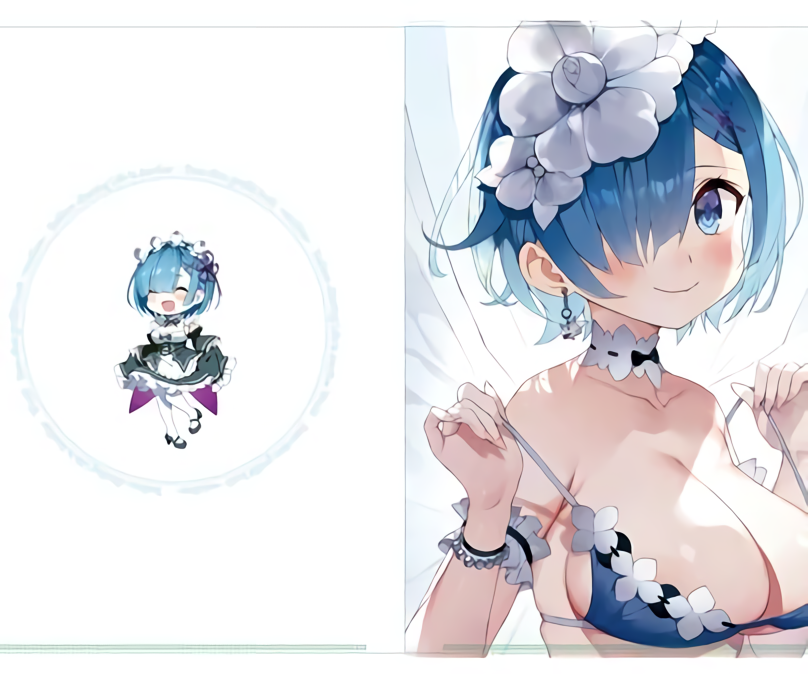 Gaou Re Zero Rem Color Fan Art Book Rakugaki hon with Clear File C98