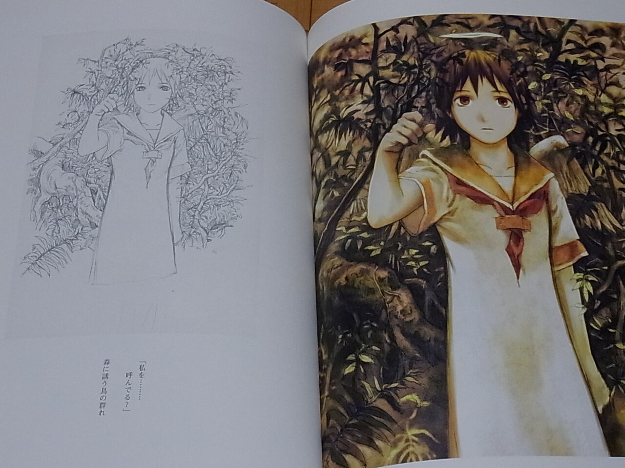 Yoshitoshi Abe Haibane-Renmei Art collection Guri no Machi Haibane no niwa de