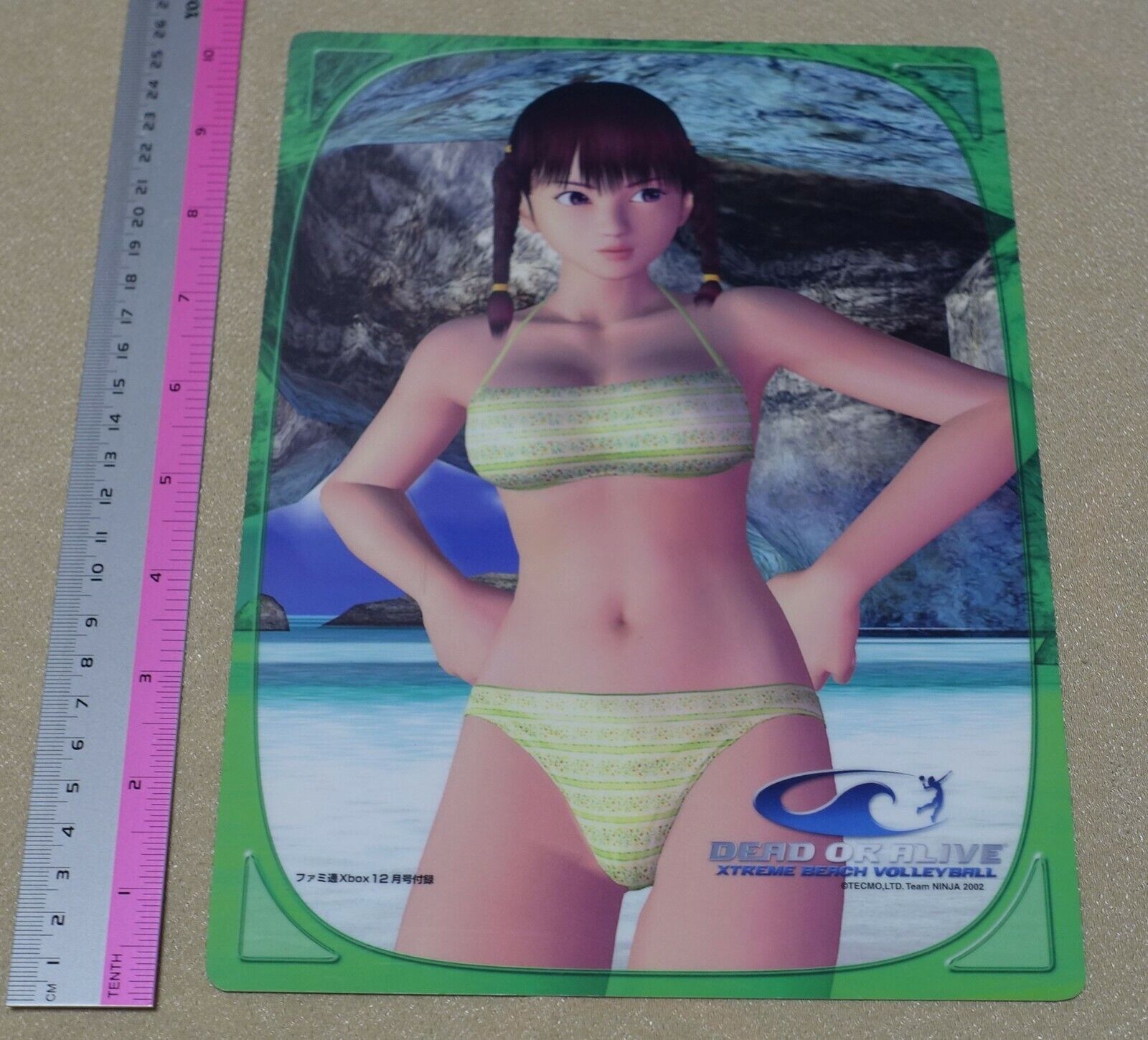 Dead or Alive Xtreme PVC Reversible Art Board Leifang & Tina
