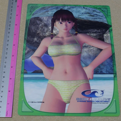 Dead or Alive Xtreme PVC Reversible Art Board Leifang & Tina