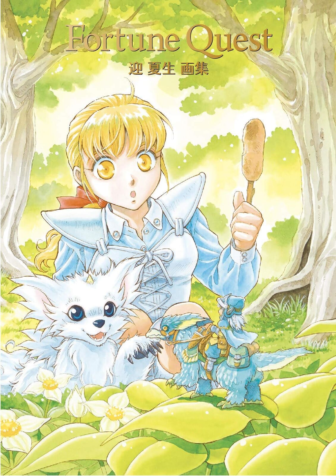 FORTUNE QUEST Natsumi Mukai Illustration Art Work Book