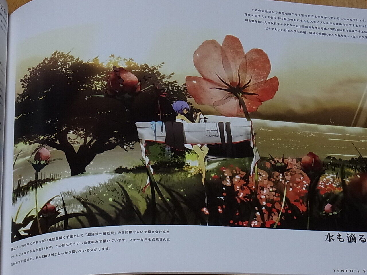 SINNNKAI Touhou Hinanai Tenshi Fan Irrustrated Story Zoku Tenco's STORY TOHO