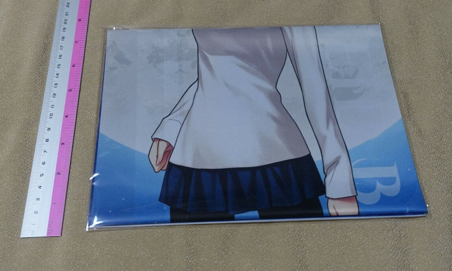 Tsukihime A piece of blue glass moon Arcueid Brunestud Cloth Poster