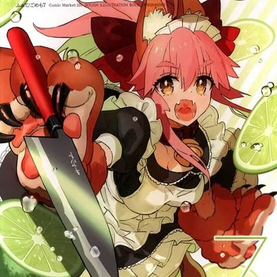 Wadamemo Arco Wada Fate Grand Order FGO & Tsukihime Fan Art Book 8 Set