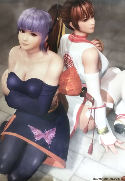 DEAD OR ALIVE 6 B2 Big Size Bath Room POSTER Ayane & Kasumi