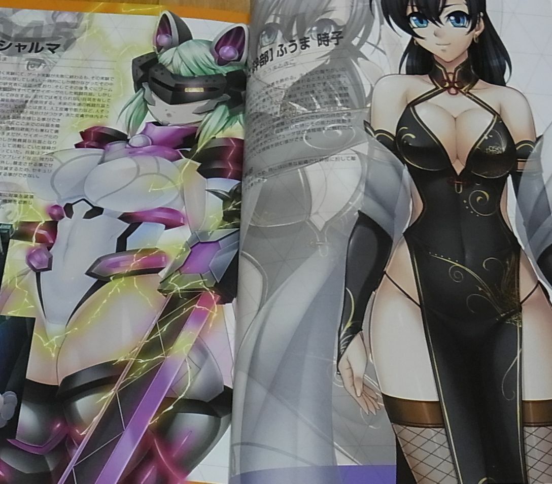 TAIMANIN ASAGI BATTLE ARENA CHARACTER VISUAL BOOK 4 NINJA GIRL