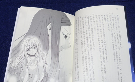 Waterfall Mai-Hime Natsuki & Shizuru Fan Novel Book On Christmas Night