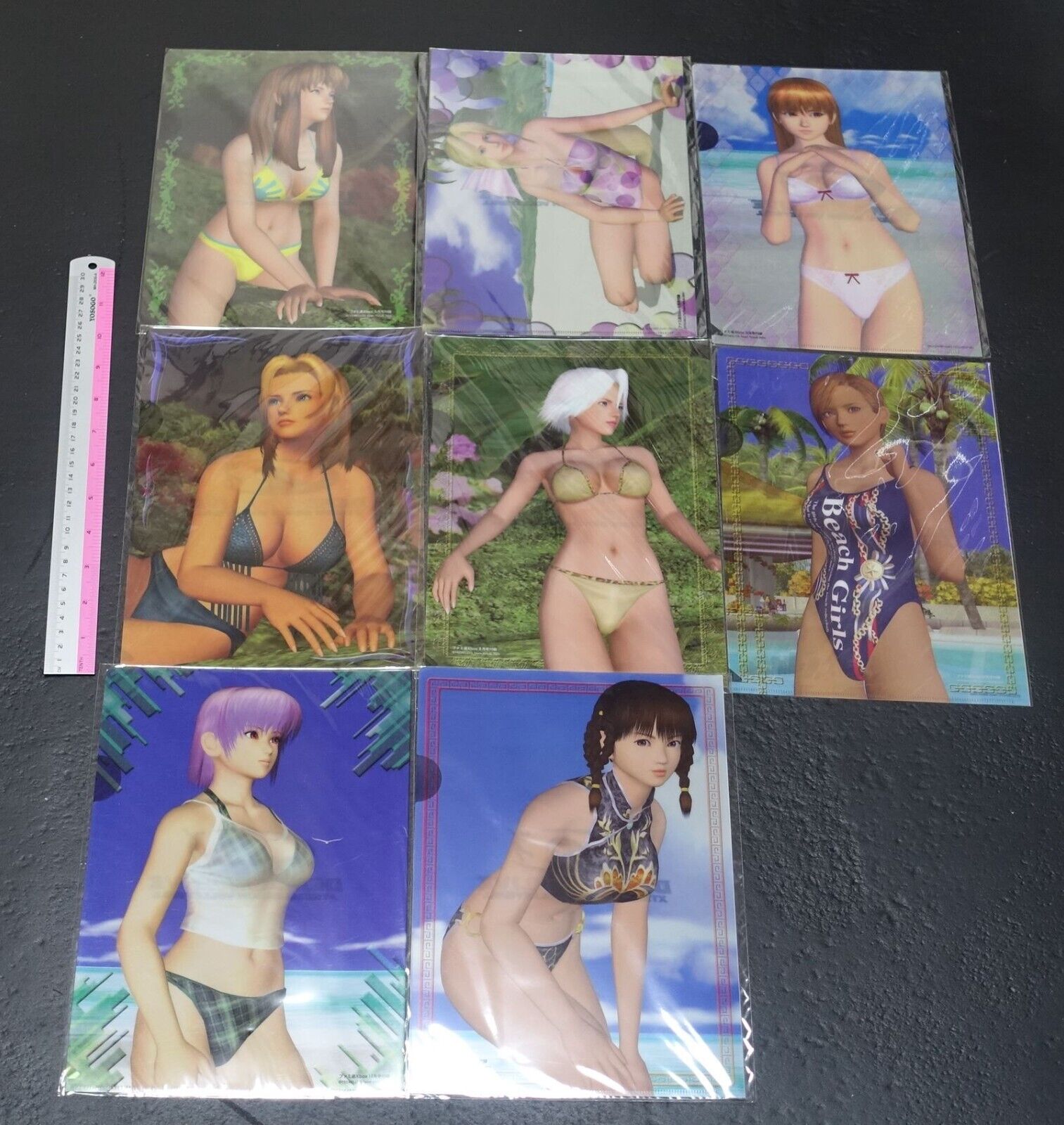 DEAD OR ALIVE XTREME BEACH VOLLEY BALL PVC Art Sheet Clear File 8 Set DOA