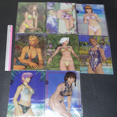 DEAD OR ALIVE XTREME BEACH VOLLEY BALL PVC Art Sheet Clear File 8 Set DOA