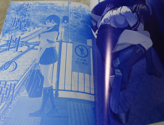 Kiseki Himura Nyuugyou Kantai Collection Fan Art Book Mashou no Ushio 1 & 2 Set