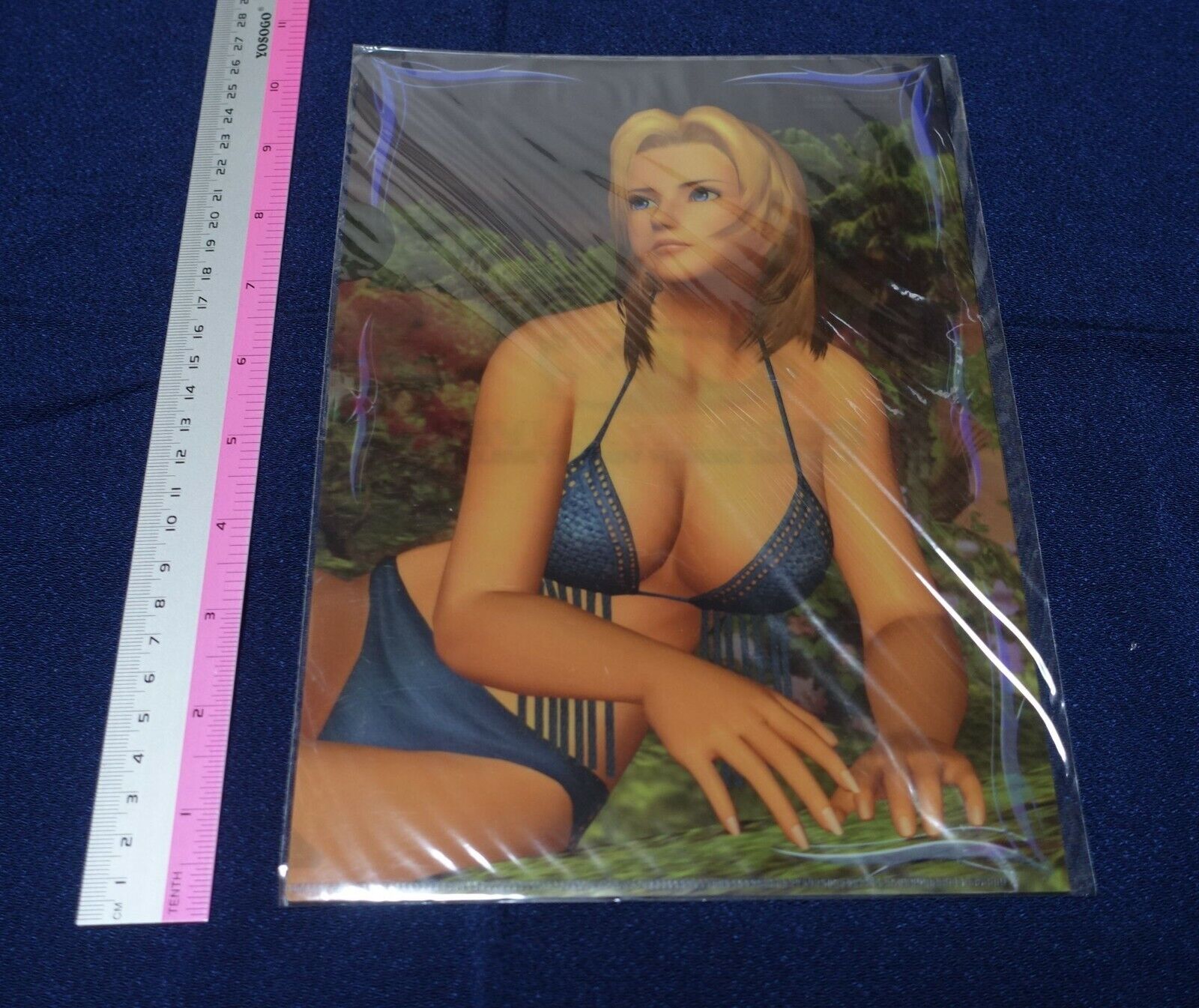 Dead or Alive Xtreme PVC Art Sheet Clear File Tina