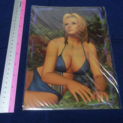 Dead or Alive Xtreme PVC Art Sheet Clear File Tina