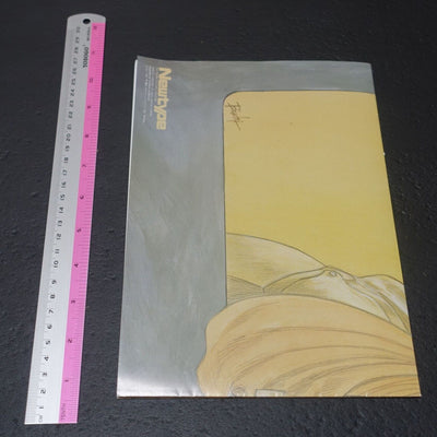 Yutaka Izubuchi Record of Lodoss War Art Poster