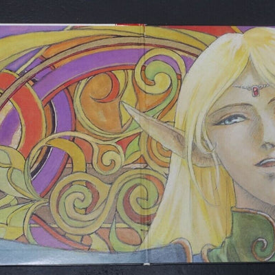 Record of Lodoss War LD Vol.6 Special Diedlit Design Art Board Case