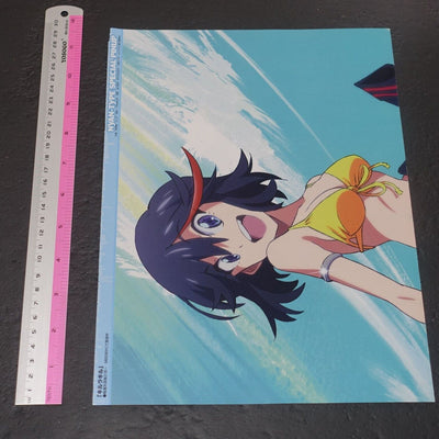 NYAN-Type Special Pinup Reversible Poster Kill La Kill , Freezing