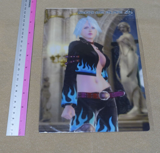 Dead or Alive 4 PVC Reversible Art Board Leifang & Christie
