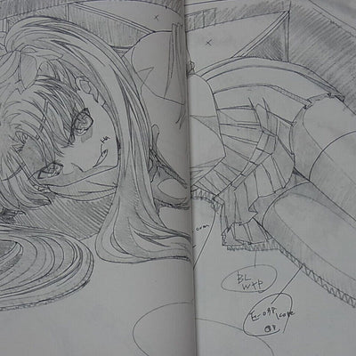 Movie Fate stay night UNLIMITED BLADE WORKS Key Frame & Visual Art Book Set