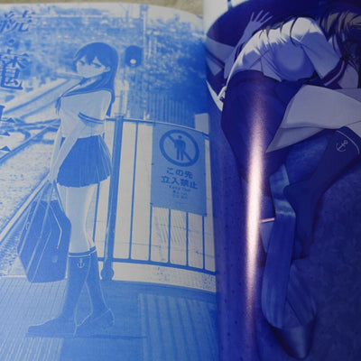 Kiseki Himura Nyuugyou Art & Comic Getsuyoubi no Tawawa on Monday & Ushio 15book