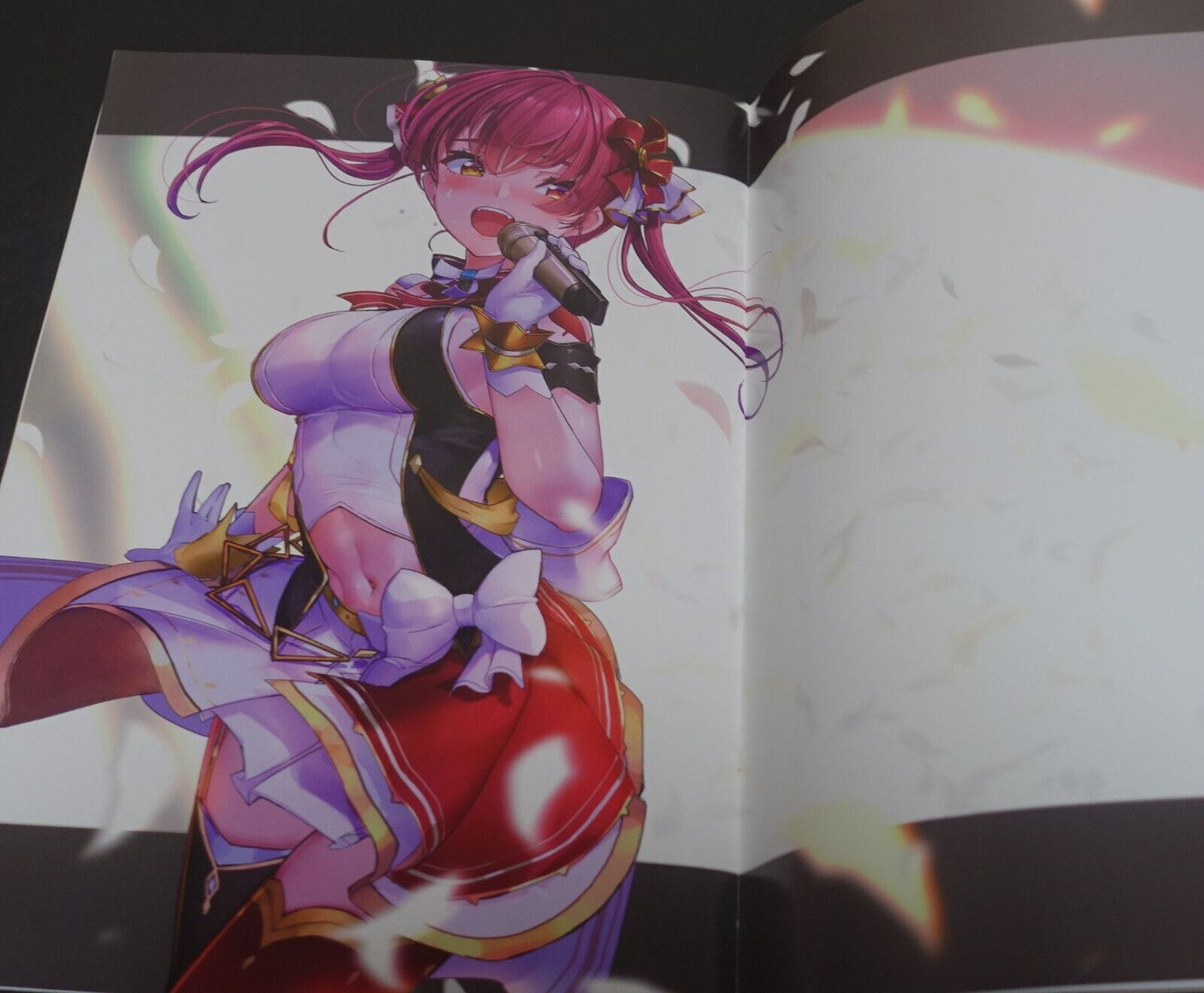 AkasaAi SEA SIDE Houshou Marine Designer's Art Book Holonium S Hololive