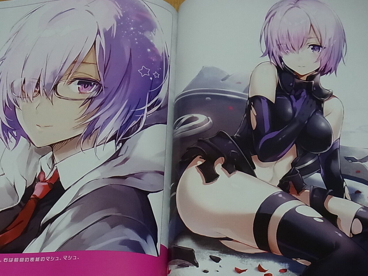 Aco Arisaka Fate Grand Order Color Fan Art Book PiCOCa V.3 FGO