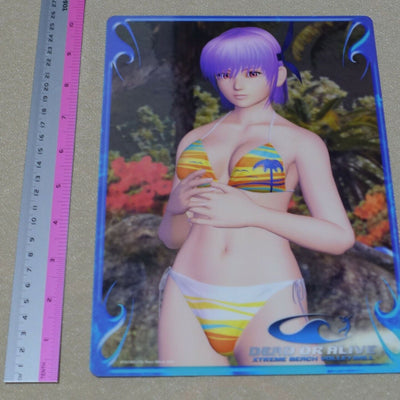 Dead or Alive Xtreme PVC Reversible Art Board Ayane & Kasumi