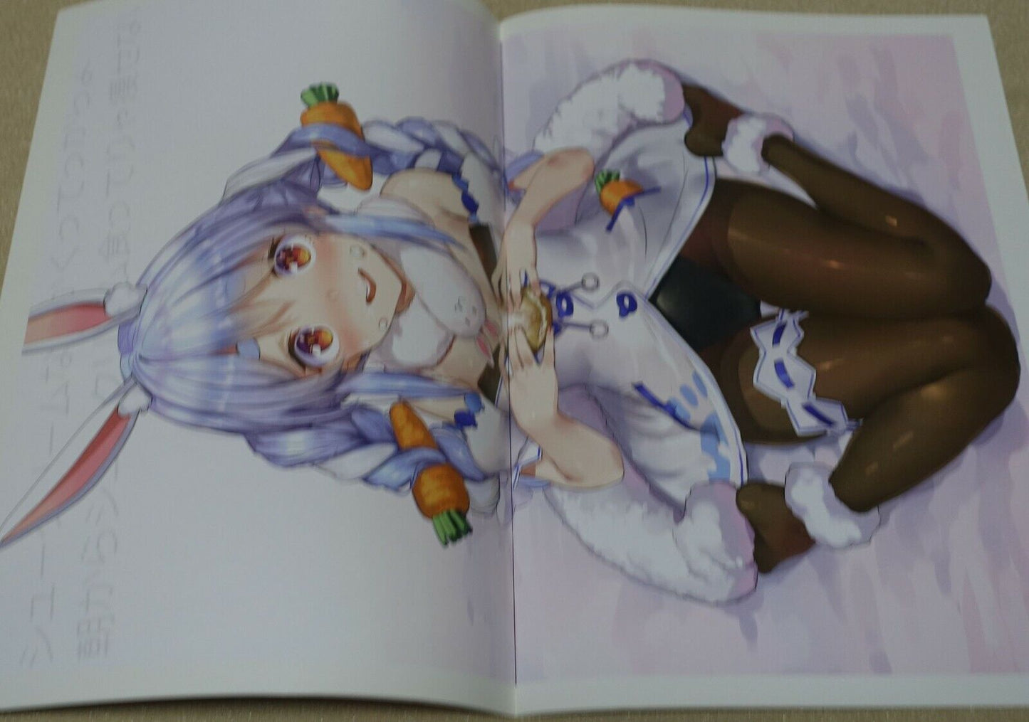 AkasaAi Hololive Vtuver Color Fan Art Book Holonium U