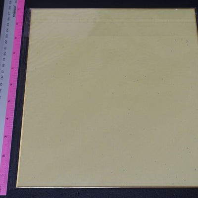 Hiroyuki Imaishi Gurrenlagann Yoko Littner Printed Shikishi Art Board