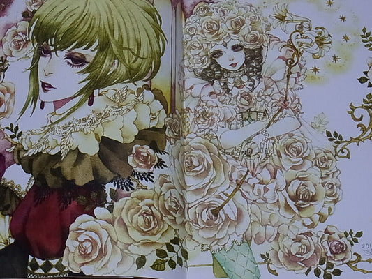 Sakizo V8 SAYAKA SaGa Frontier Fan Art Book ETANITY RARE