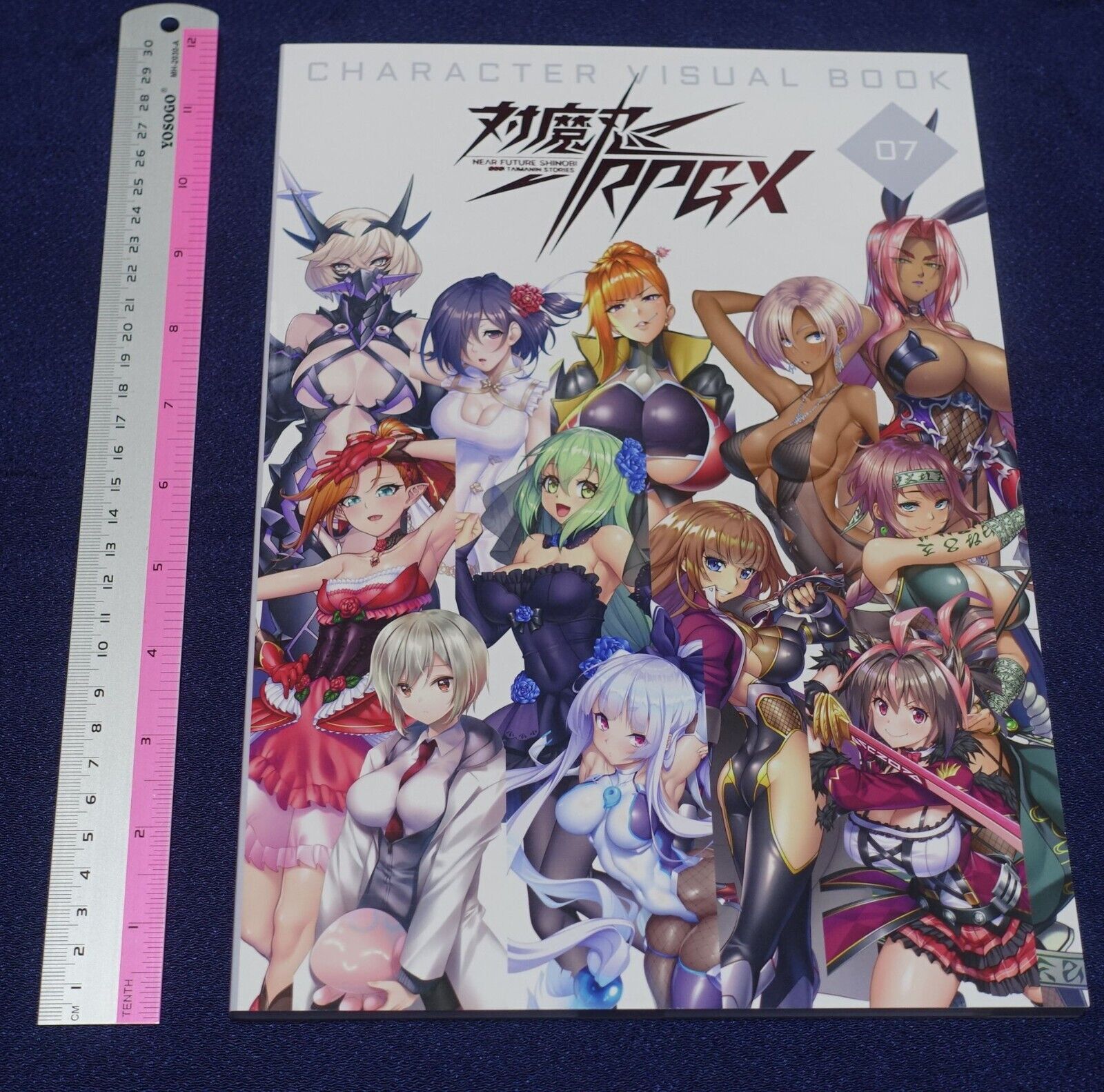Lilith TAIMANIN RPGX CHARACTER VISUAL ART BOOK Vol.07 ASAGI C101