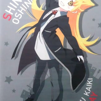 Bakemonogatari 51 x 72 cm Tapestry Shinobu Oshino Kaiki Costume