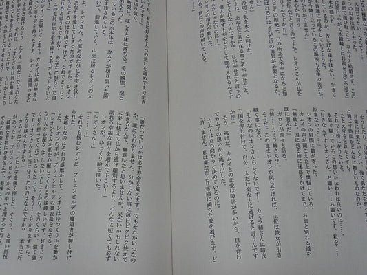 Kurage Fire Emblem Fates Leon & Kamui FAN Doujinshi Novel Aoi Kizuna