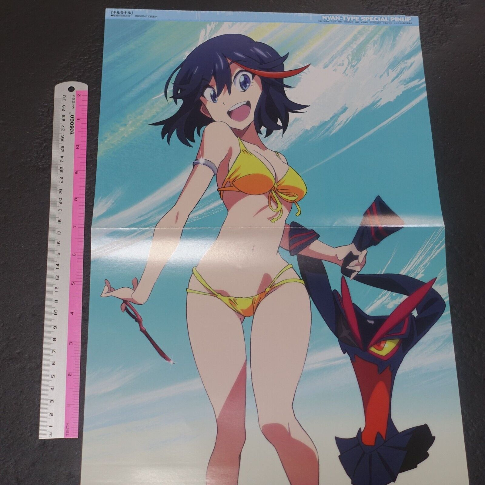 NYAN-Type Special Pinup Reversible Poster Kill La Kill , Freezing