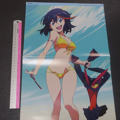 NYAN-Type Special Pinup Reversible Poster Kill La Kill , Freezing