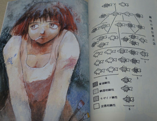 Kasanaya Kei Tome Toume Illustration Art Book Gold Fish