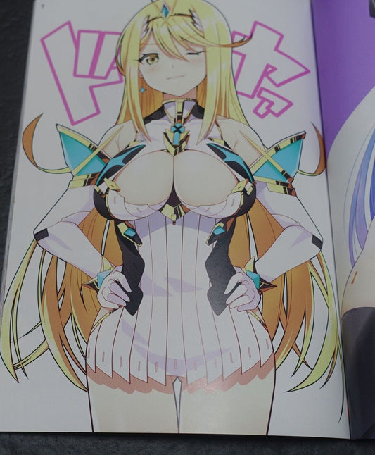 DAIVE Xenoblade 2 Fan Art Book Master Piece