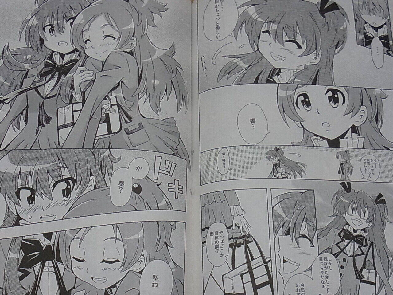 Frost Suite Precure Hibiki & Kanade Fan Doujinshi Ikemen Kaprichio