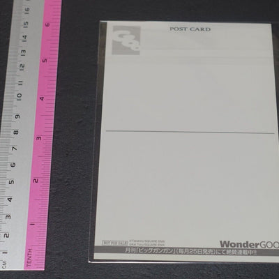 Akame ga Kill! Zero Privilege Art Card G Tsukushi