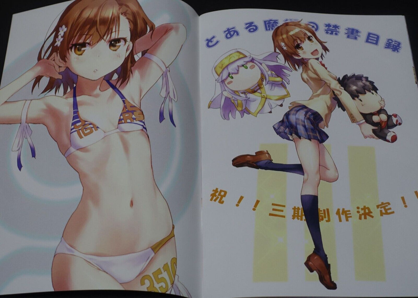 Chillin Party raika9 A Certain Scientific Railgun Misaka Mikoto Fan Art Book 6