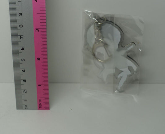 Maruyaki Salmon Design Acrylic Key Chain