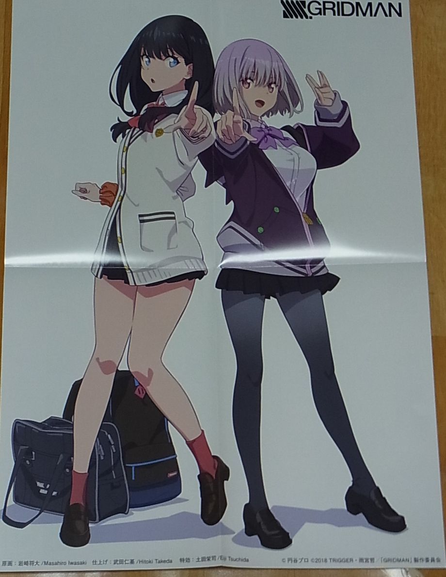 SSSS.GRIDMAN Rikka & Akane Big Size Poster