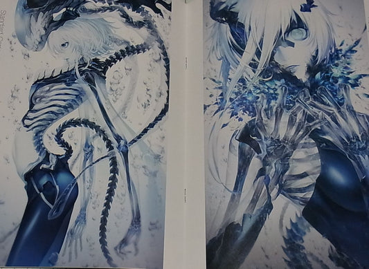 KODAMANDARA Kantai Collection Abyssal Fleet Girls Skelton Art Book Effigy C90
