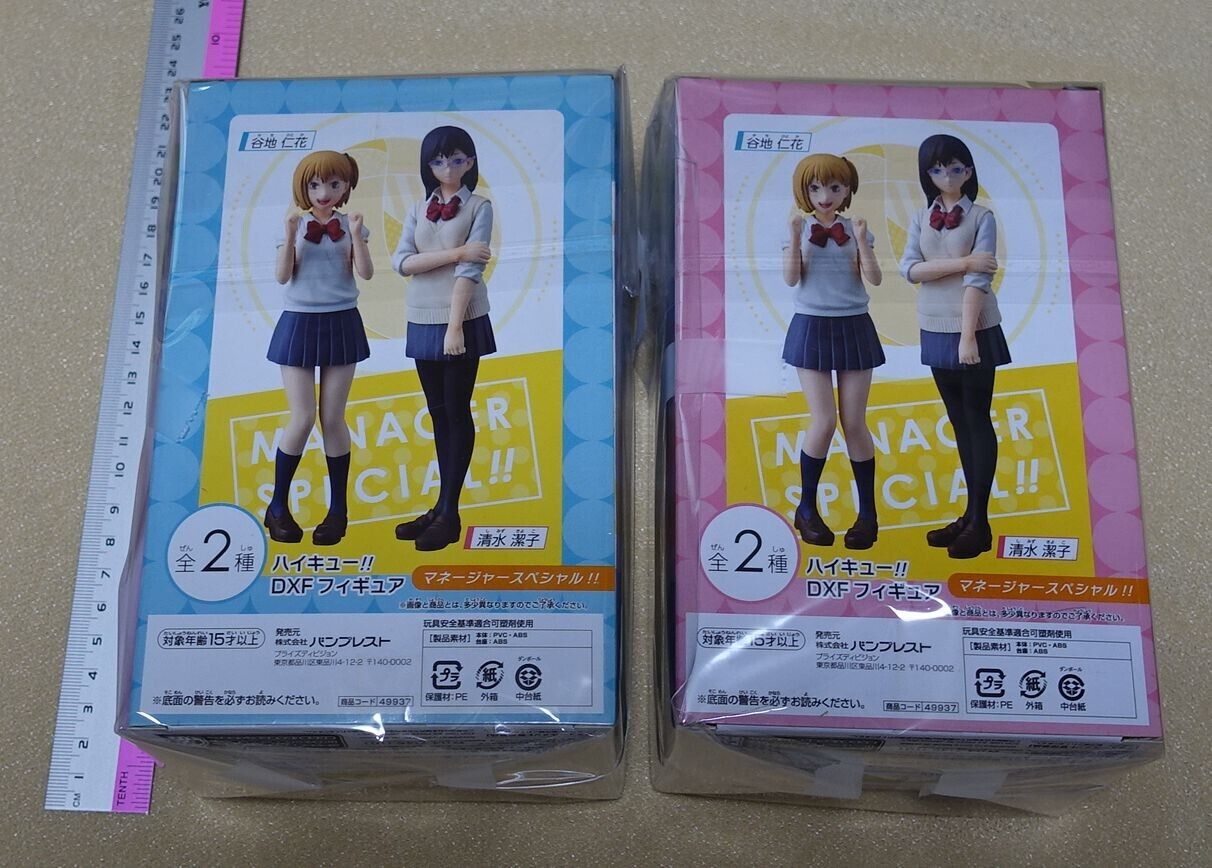 Banpresto Haikyu!! Kiyoko Shimizu & Hitoka Yachi DXF Figure Manager Haikyuu