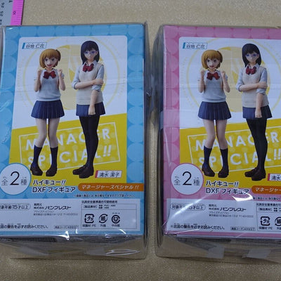 Banpresto Haikyu!! Kiyoko Shimizu & Hitoka Yachi DXF Figure Manager Haikyuu