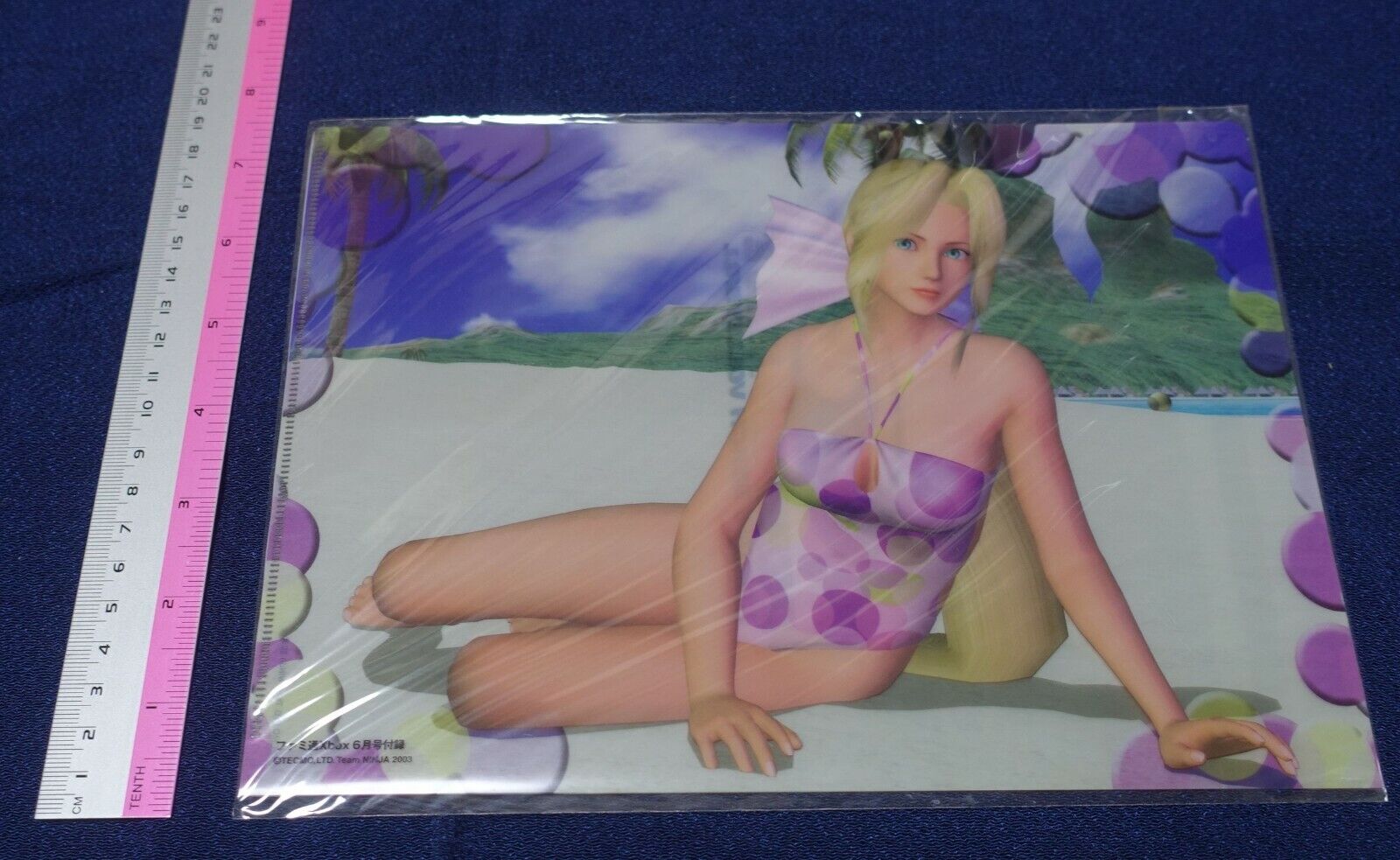 Dead or Alive Xtreme PVC Art Sheet Clear File Helena