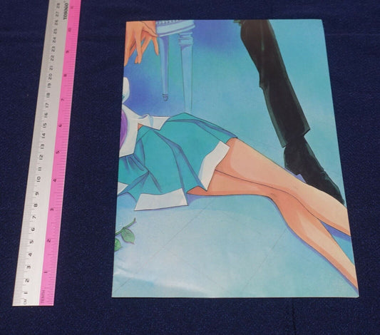GIRL'S REVOLUTION UTENA Big Size Poster