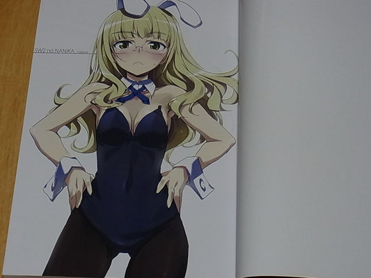 Tomoyasu Kurashima Strike Witches2 Anime Rough Work Collection SW2 no Nanika !