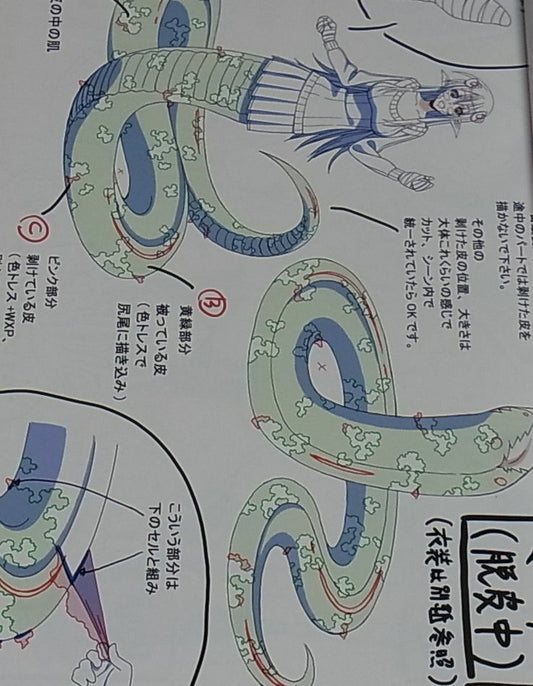 Monster Musume no Iru Nichijou Animation Setting Art Book 1