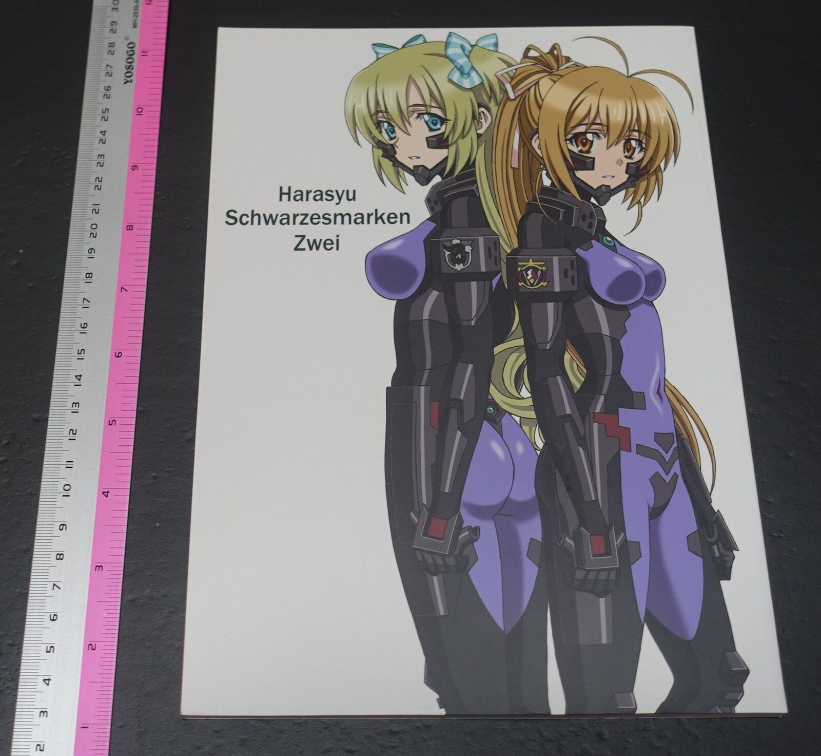 Harasyu Muv-Luv Schwarzesmarken Animation Staff's Art Book Zwei
