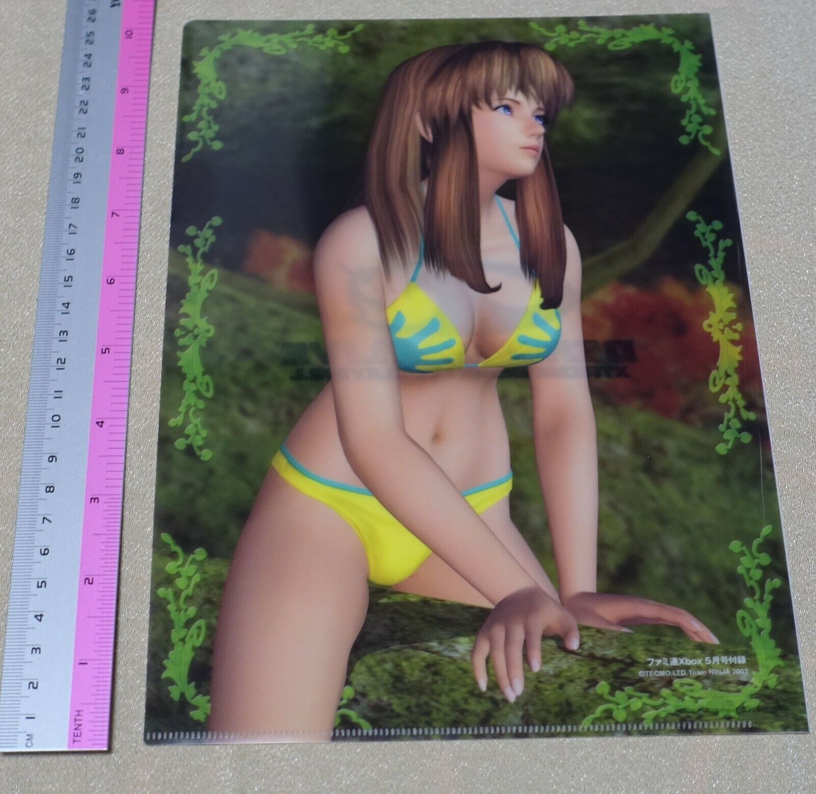 Dead or Alive Xtreme PVC Art Sheet Clear File Hitomi